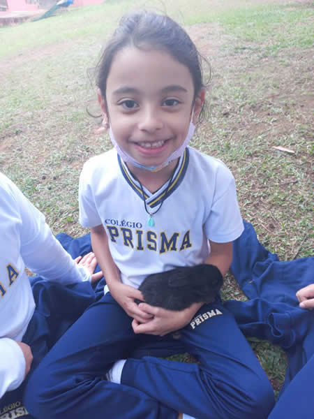 Bicho Mania 2022